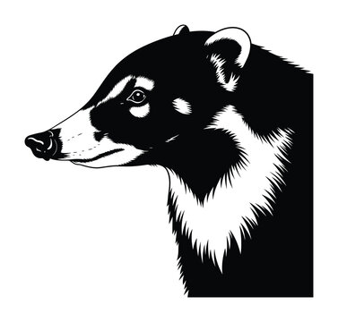 Vector artwork of a raccoon's side profile with distinct markings