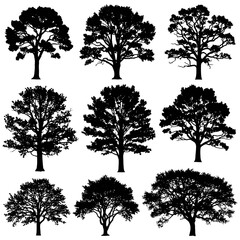 Obraz premium Collection of tree silhouettes in black.