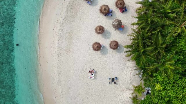 Top-down aerial view of a pristine beach in Ukulhas, Maldives. Tourists relax on sunbeds under natural thatch umbrellas near crystal clear turquoise water and palms.