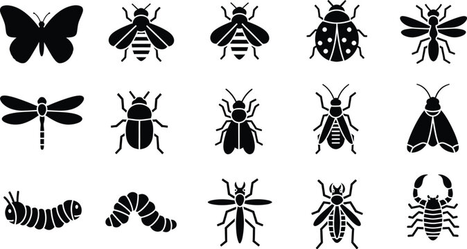 A collection of fifteen detailed black silhouette icons representing various insects and arthropods