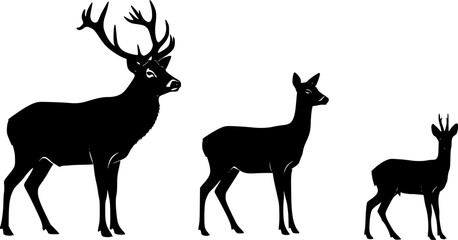 Fototapeta premium set of Graphic black silhouettes of wild deers – male, female and roe deer on white background