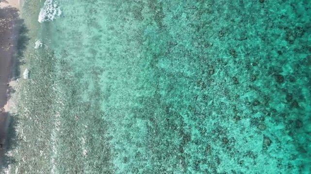 Cinematic drone shot of a pristine tropical beach in Ukulhas, Maldives, featuring lush green trees and crystal clear cyan water. Gentle waves roll over a beautiful shallow coral reef