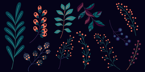 Obraz premium Stylized botanical illustration featuring various branches and colorful berries