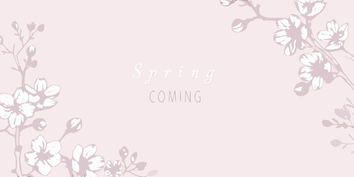 Delicate cherry blossom branches frame the word spring coming text