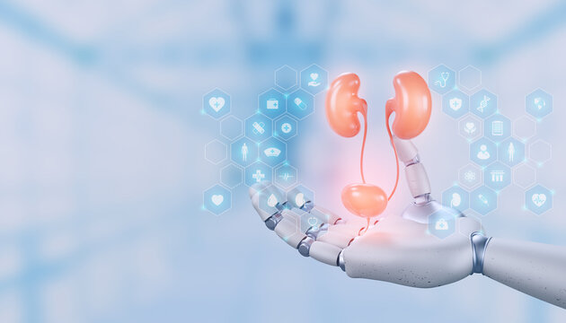 Robotic hand holding 3D female urinary system. Digital urogynecology innovation, nephrology healthcare technology. Virtual cystoscopy, AI-driven bladder diagnostics. Bokeh background.