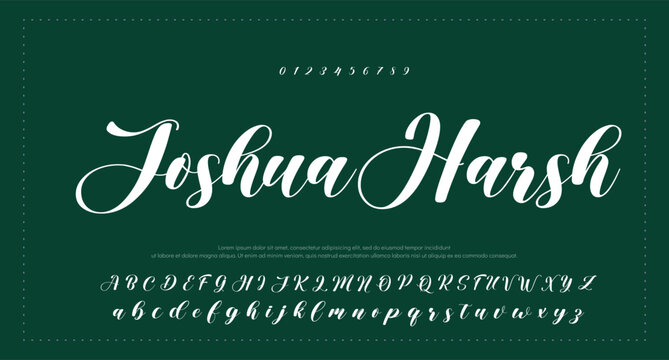 
Signature Font Calligraphy Logotype Script Brush Font Type Font lettering handwritten