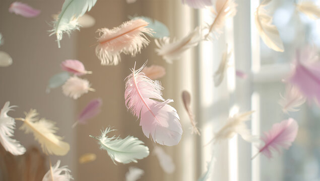 窓辺の光の中でパステルカラーの羽毛がふわりと舞う写真