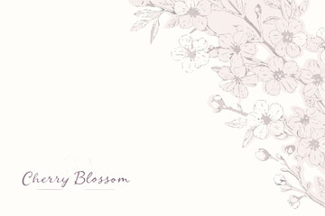 Fototapeta premium Delicate cherry blossoms cascade from a branch filling the right side