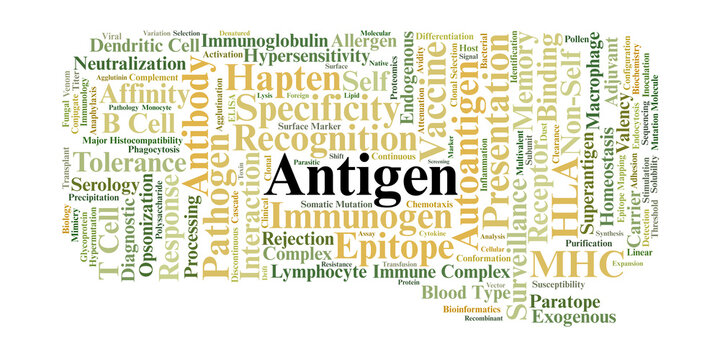 Antigen Word Cloud. Fundamental Concepts of Molecular Recognition and Immune Signaling