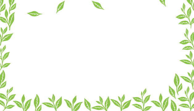 Tea leaves pattern background. Leaf frame pattern. Tea leaf background. 