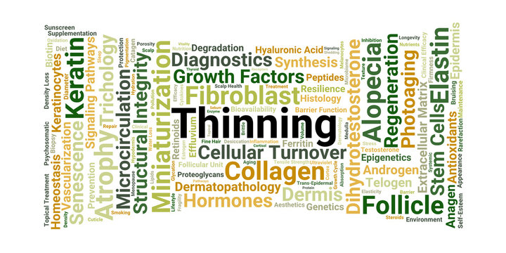 Thinning Word Cloud. Key Terms in Integumentary Atrophy and Follicular Health