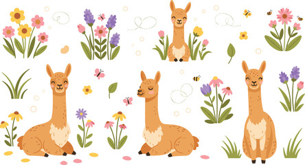 Fototapeta premium Cute Llama Cartoon Character Set with Spring Flowers Bees Butterflies and Nature Garden Elements for Wildlife Vector Illustration Collection