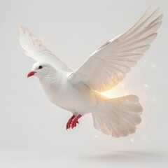 Fototapeta premium White Dove in Flight with Wings Spread Wide and Glowing Light Effect on a Soft White Background