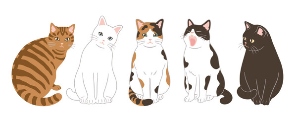 かわいい猫のヘッダーデザイン  © Spiharu