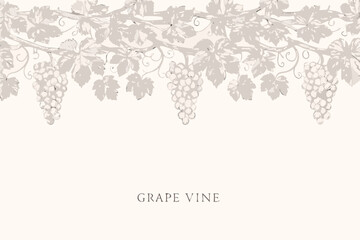 Fototapeta premium Elegant grape vine illustration with bunches of grapes and detailed leaves