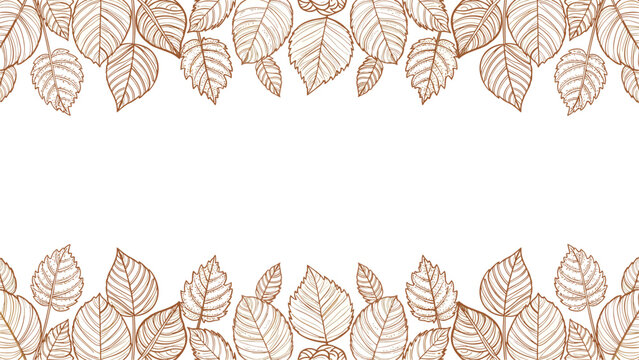 Elegant horizontal border consists of sketched deciduous leaves in a warm brown ink style, framing a clean white central space.