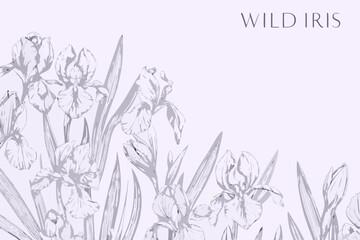 Obraz premium Delicate floral illustration of purple irises against a pale background