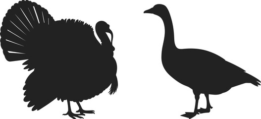 Obraz premium Black silhouette of a wild turkey and a domestic goose isolated on white background for farm animals and holiday designs.