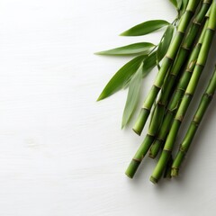 Fototapeta premium Green bamboo stems arranged on white wooden background, top view with copy space