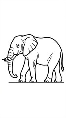 Obraz premium elephant vector illustration