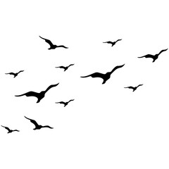 Flying Bird Silhouette