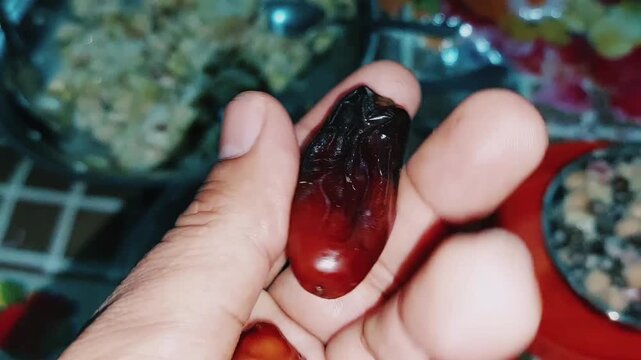 Medjool and Zahidi date fruits comparison showcasing size color differences