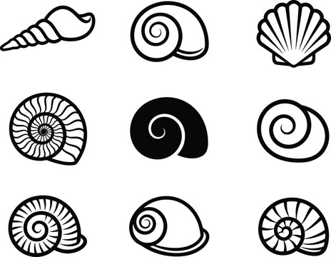 Seashell collection icons with spiral and scallop shells, marine ocean nature illustration set in black outline isolated on light background