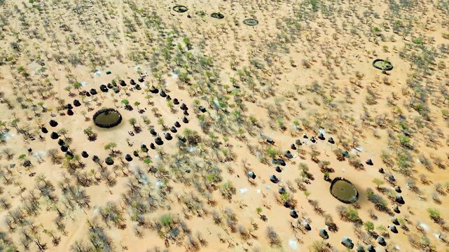 Aerial drone view of a traditional circular Himba village settlement in northern Namibia with huts arranged around a central livestock enclosure
