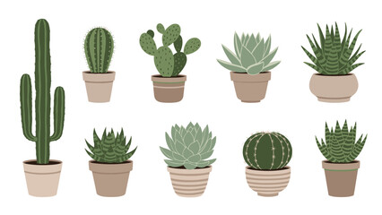 Fototapeta premium Collection of different desert cacti and succulent plants in various clay pots arranged in two rows on a plain white background.