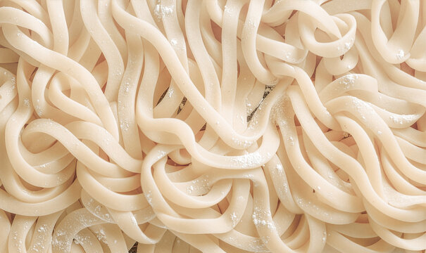 Freshly made, thick, chewy udon noodles