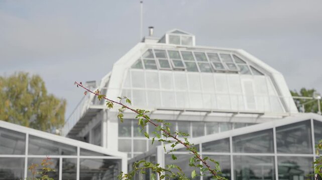 Serene view of the VDU Botanical Garden greenhouse's glass architecture, set against a clear sky in Kaunas, Lithuania. The modern structure is illuminated by soft natural light.