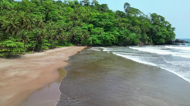 Flying over the beach 7 ondas behind a falcon flying over the beach.S&atilde;o Tom&eacute;,Africa