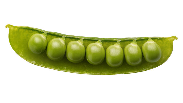 Fresh vibrant green pea pod, perfectly open with a row of seven plump peas inside, isolated PNG on transparent background for healthy food design