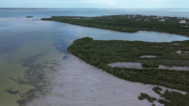 High angle view of Holbox Island's coastal edge featuring mixed sand patterns and mangrove vegetation, Mexico