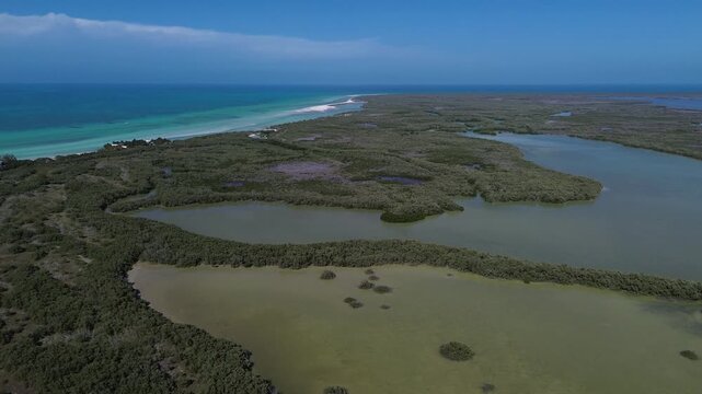 Drone flight over the pristine mangrove ecosystems and crystal clear waters of Holbox Island, Mexico