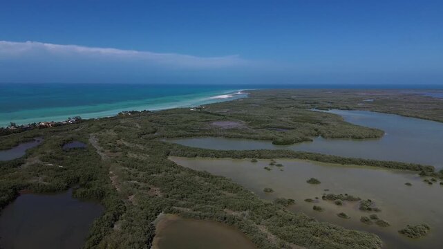 Cinematic drone shot of abstract mangrove patterns and turquoise sea in Holbox, Mexico