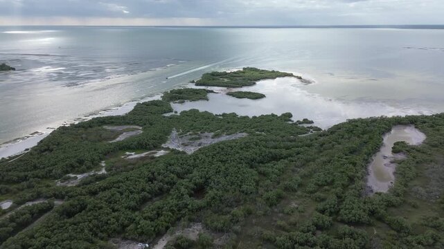 Aerial drone shot of the intersection between mangrove forests and white sand banks, Holbox, Mexico