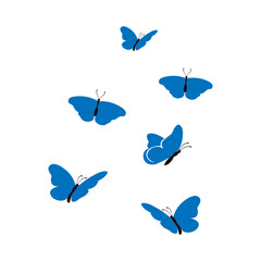 Fototapeta premium Blue Butterfly Flying