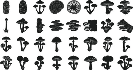 Comprehensive Collection of Mushroom Silhouettes Featuring Various Fungus Species Forest Toadstools and Wild Edible Fungi Shapes for Nature Graphic Design © Romana