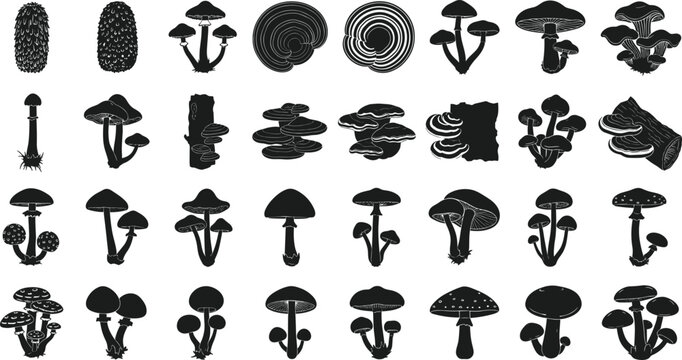 Comprehensive Collection of Mushroom Silhouettes Featuring Various Fungus Species Forest Toadstools and Wild Edible Fungi Shapes for Nature Graphic Design