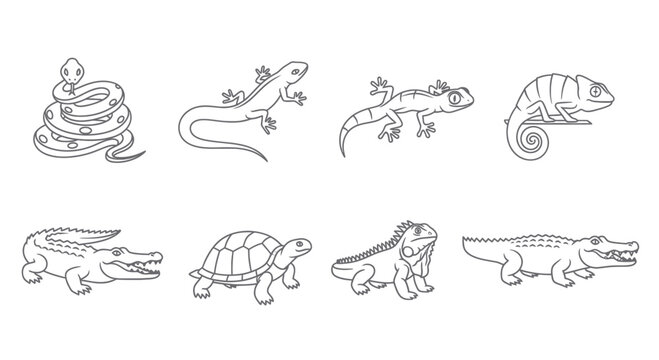 Collection of various reptile animals, line art style.