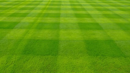 A wide-angle view of a professional soccer pitch featuring a crisp white line across the lush green grass texture of an empty outdoor stadium turf