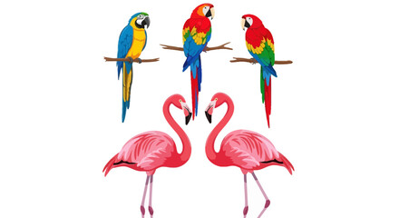 Naklejka premium Vibrant tropical birds illustration featuring parrots and flamingos