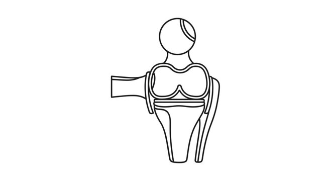Knee Joint Anatomy Illustration: Femur, Tibia, Patella, Ligaments