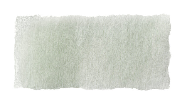 Textured light green paper strip with rough, frayed edges, a delicate and versatile element isolated for creative design projects and digital art
