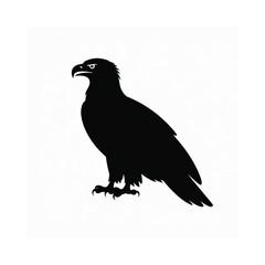 Fototapeta premium A striking silhouette of an eagle in profile showcasing its powerful form