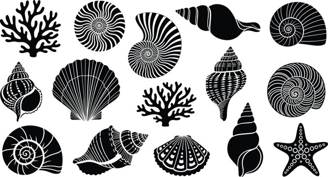 Sea shell and coral silhouette collection, marine ocean shells set with starfish and scallop shapes, decorative nautical vector illustration
