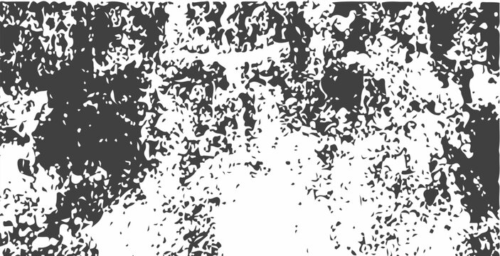 Seamless leopard print pattern in black and white featuring a grunge ink splash texture and vintage floral border decoration.