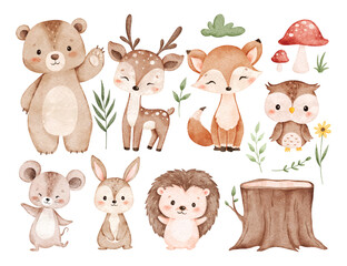 Obraz premium Watercolor Illustration Set of Cute Woodland Animals and Nature Elements
