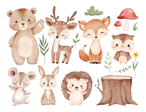 Watercolor Illustration Set of Cute Woodland Animals and Nature Elements